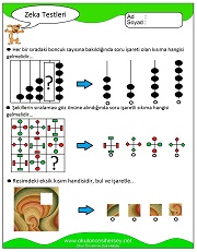 Zeka Gelişim Testleri